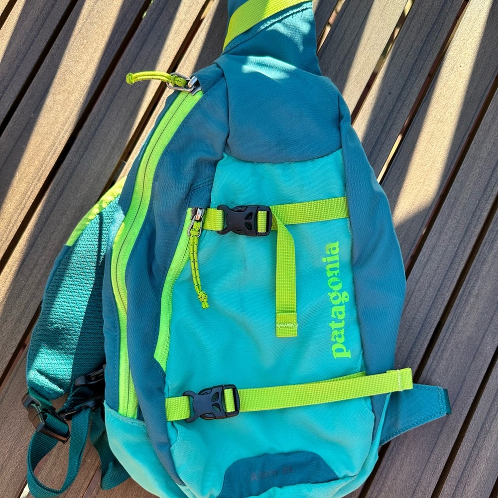 Patagonia Blue and Yellow Backpack